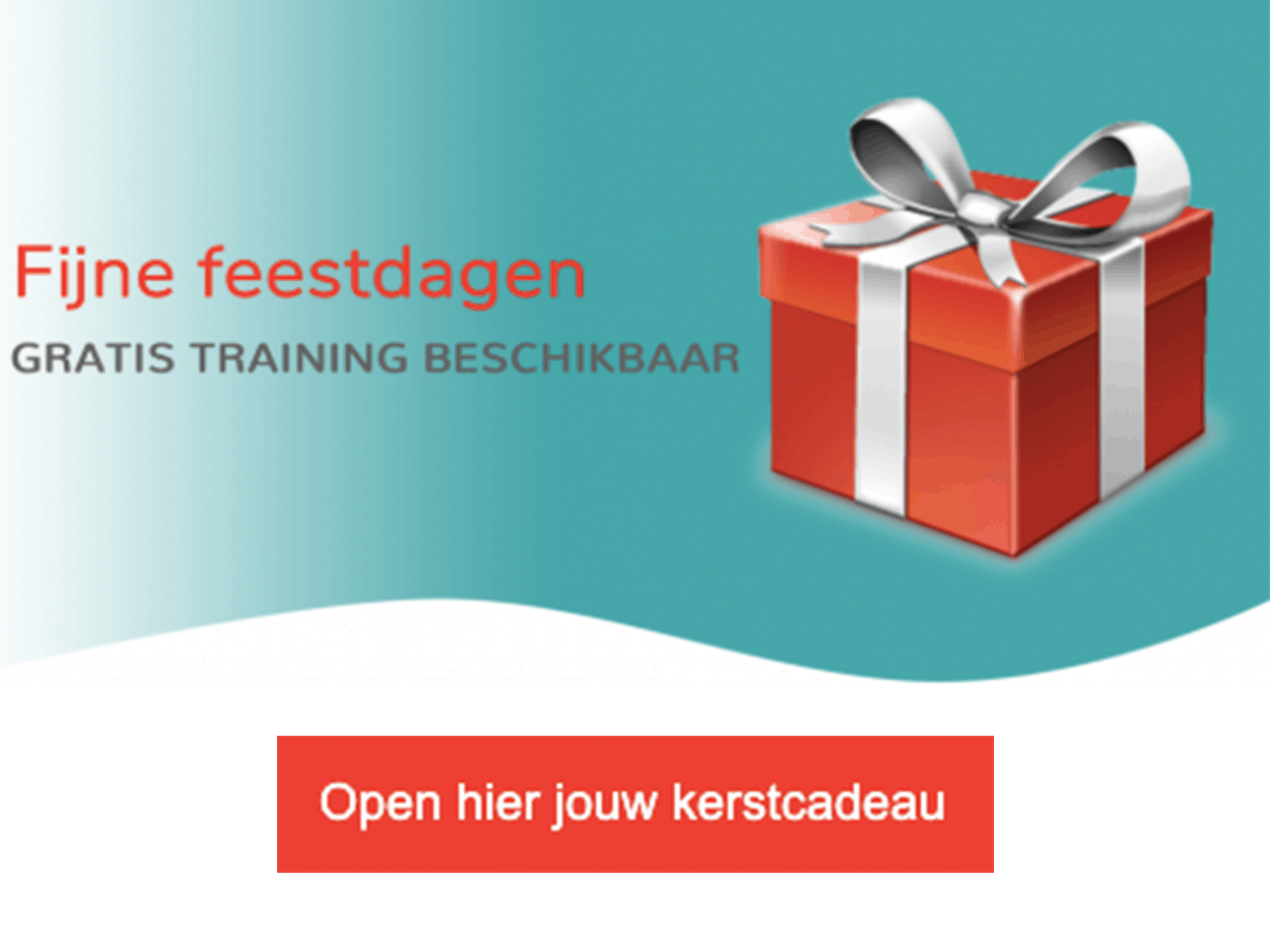kerstcadeau automatische kortingscode