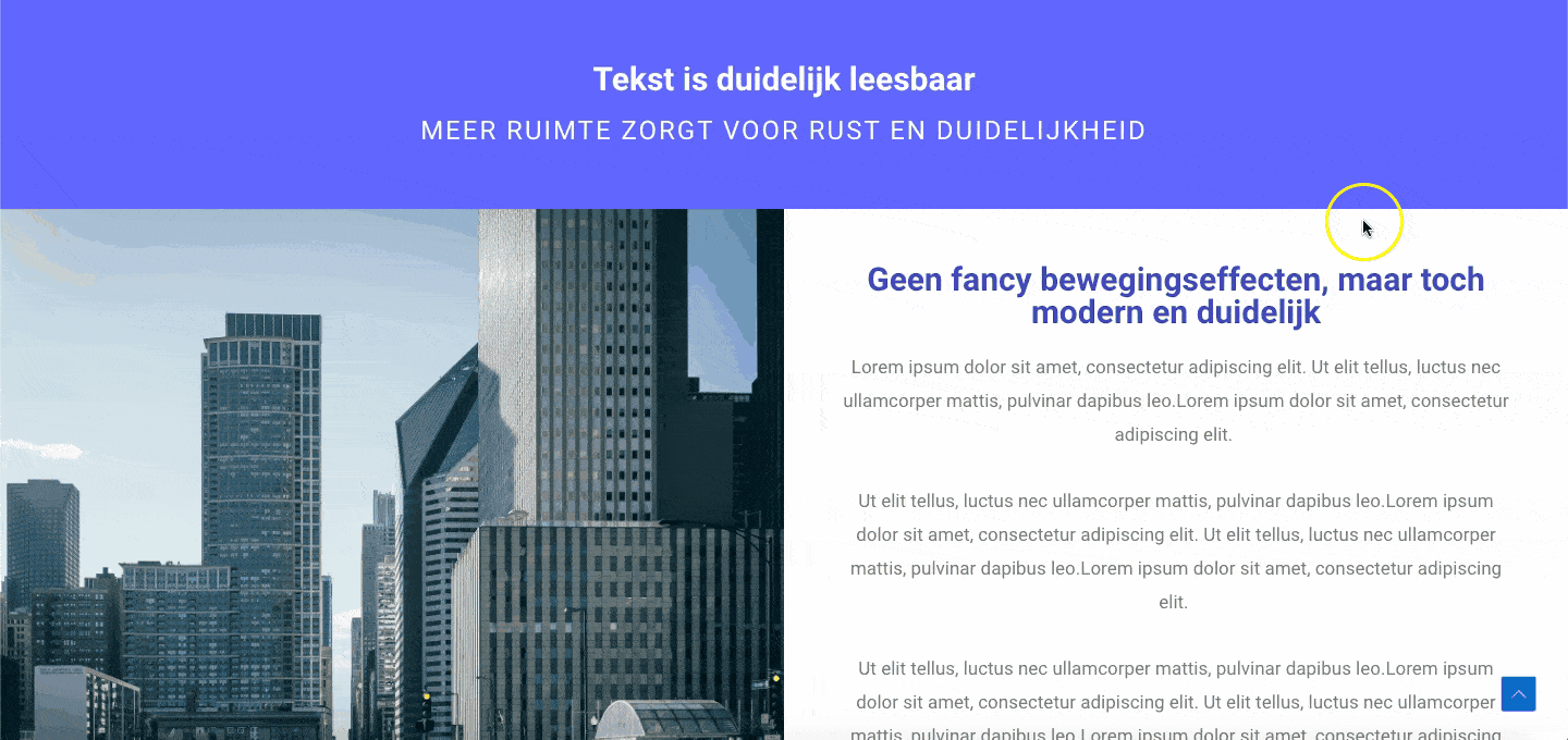 Voorbeeld-gebruiksvriendelijke-website